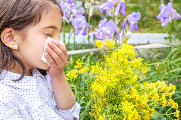 заложенность носа из-за аллергии